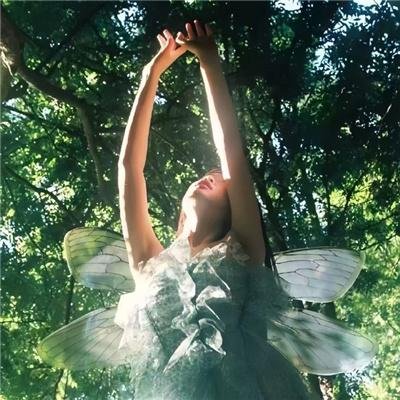 献鱼